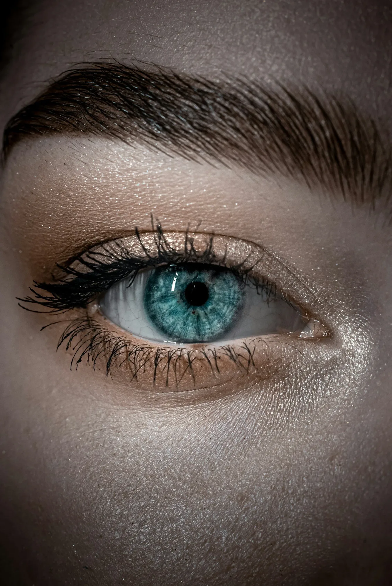 Close-up of an eye and a defined brow