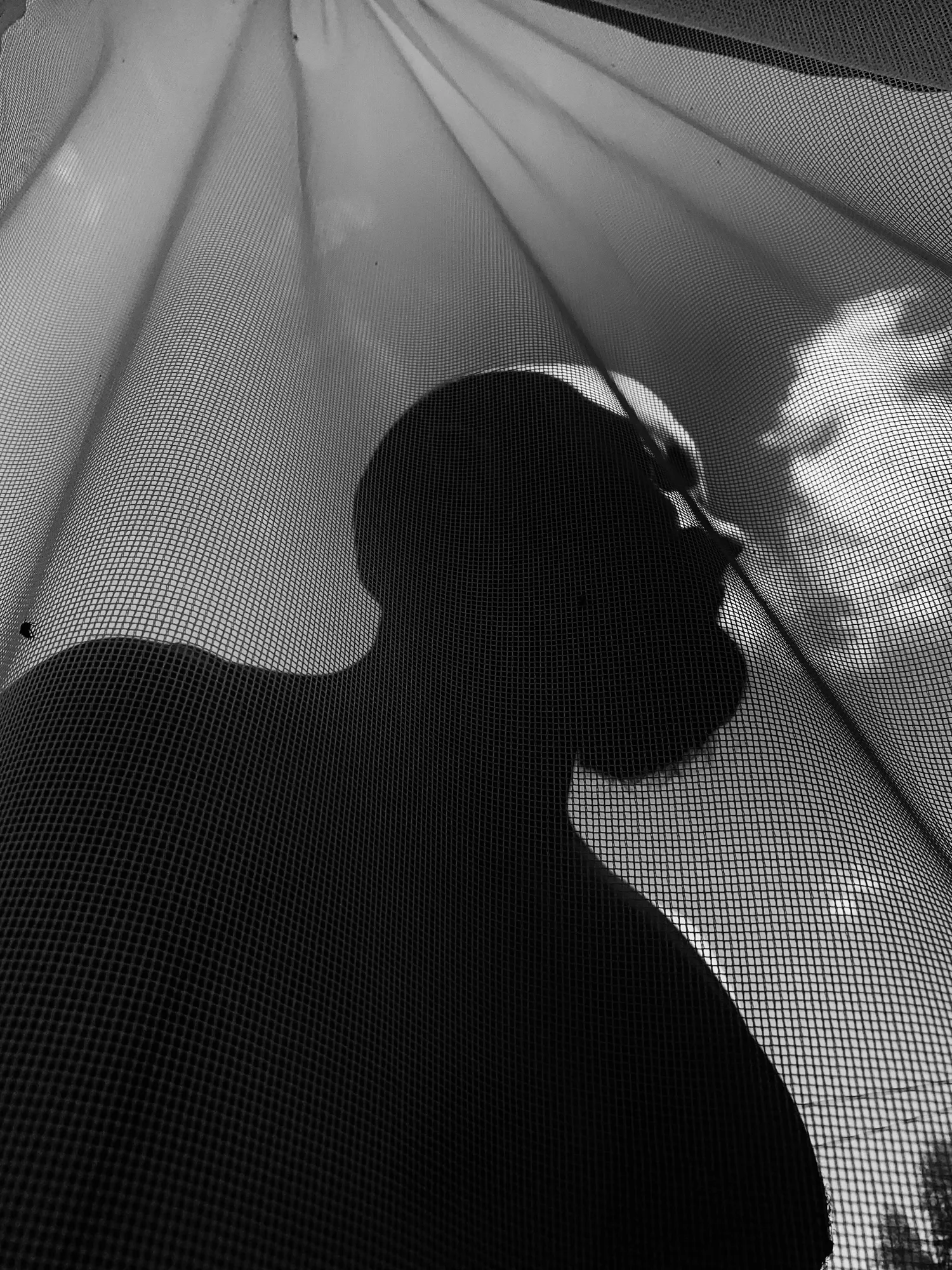 Black and white silhouette behind sheer mesh